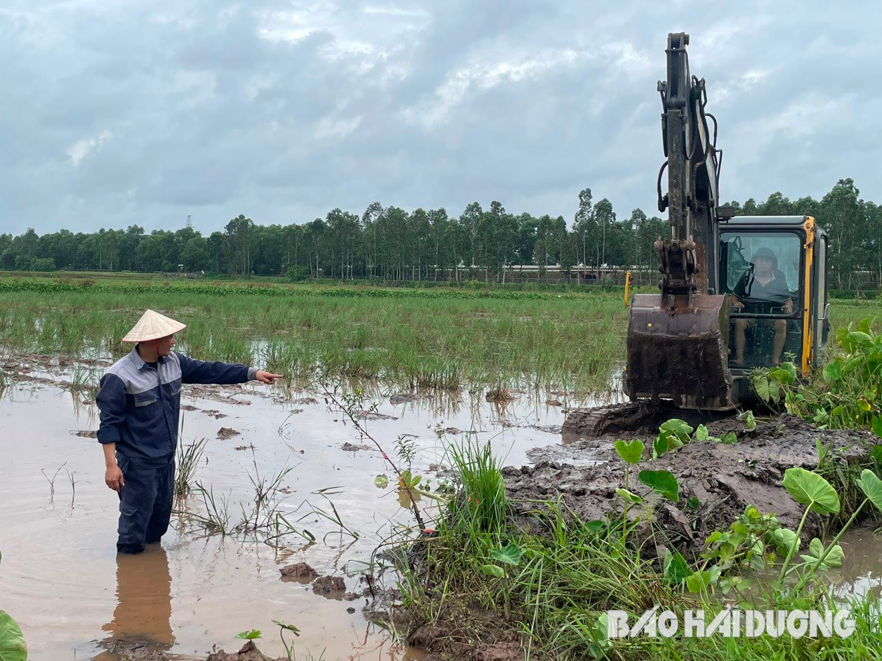 Vừa hoàn lương, người đàn ông ở Hải Dương quyết "ôm" 18ha ruộng hoang khởi nghiệp làm giàu- Ảnh 1.