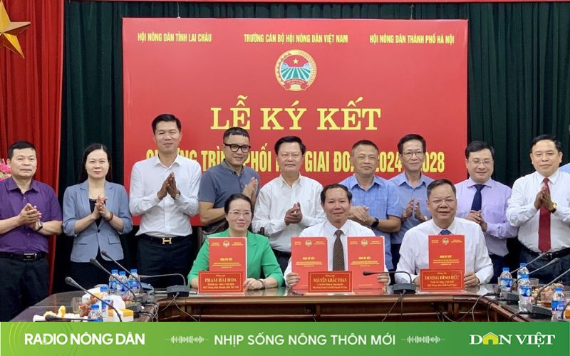 radio online Nhịp sống nông thôn mới ngày 05/08/2024 radio nông dân radio truyện radio trực tuyến- Ảnh 1.