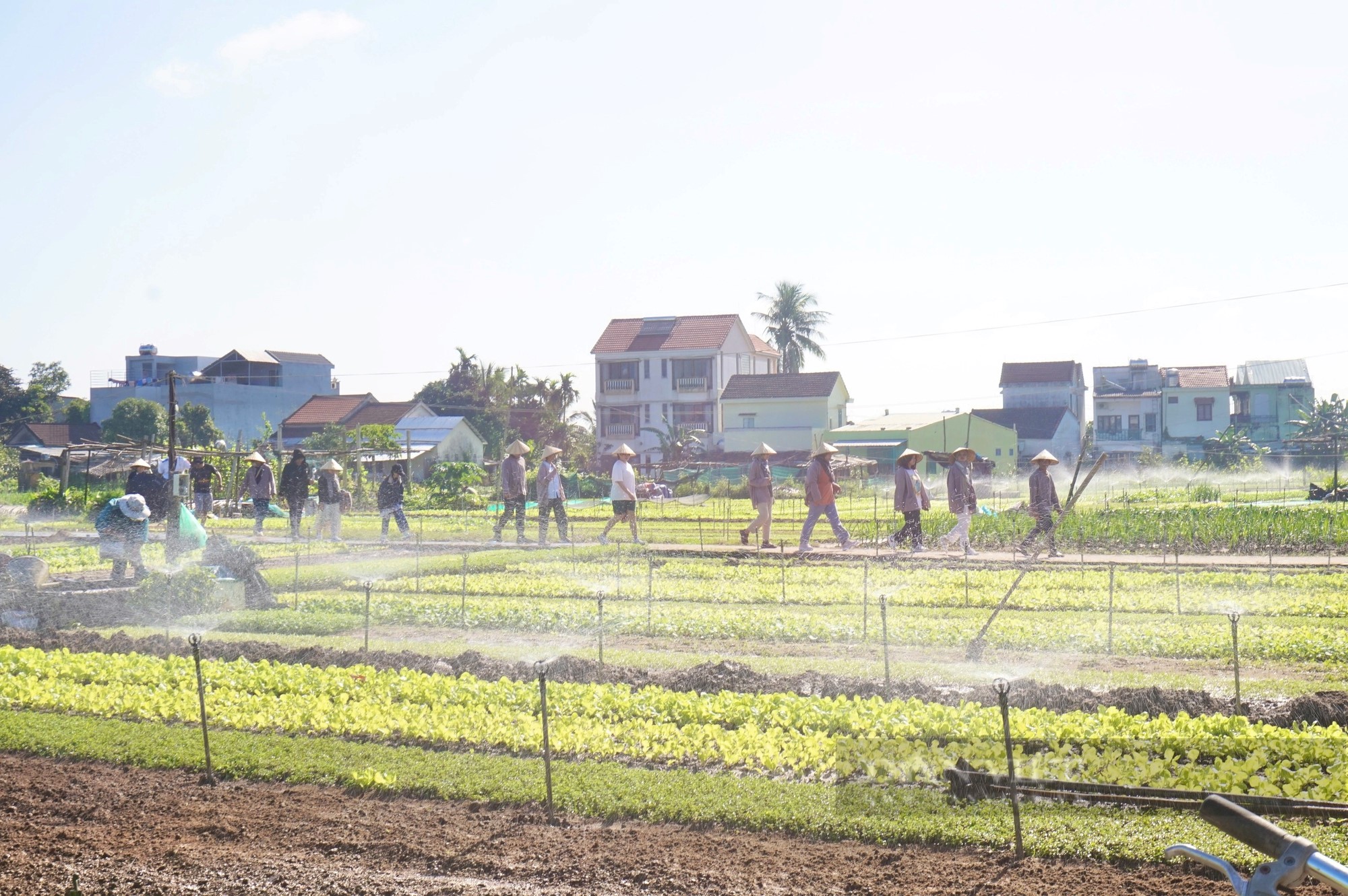 Quảng Nam: Xây dựng nông thôn mới gắn với phát triển du lịch, giúp TP Hội An nâng tầm nông thôn mới- Ảnh 8.