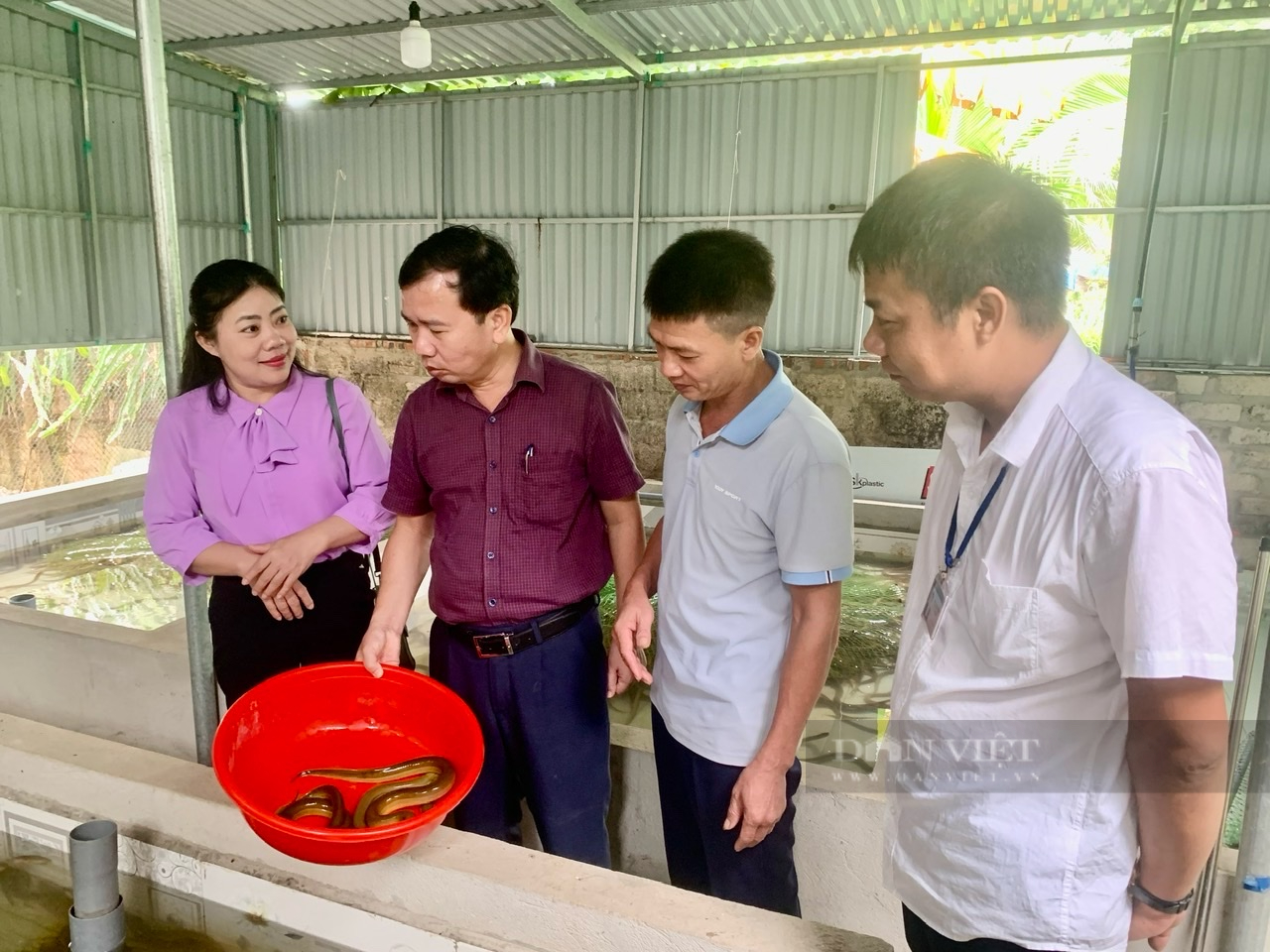 Nông dân Thanh Hóa thi đua sản xuất kinh doanh giỏi, đoàn kết giúp nhau làm giàu và giảm nghèo bền vững- Ảnh 2.