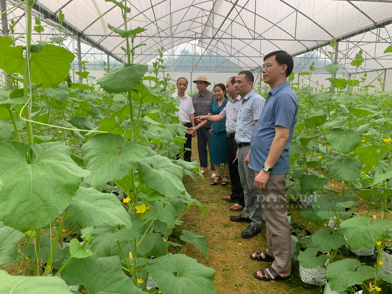 Nông dân Thanh Hóa thi đua sản xuất kinh doanh giỏi, đoàn kết giúp nhau làm giàu và giảm nghèo bền vững- Ảnh 3.