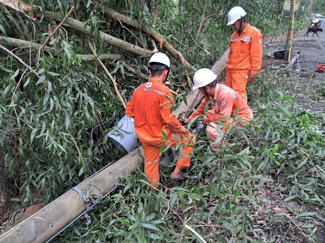 Mưa Bão Gây Thiệt Hại Lưới Điện Trên Phạn Lớn Quốc Gia