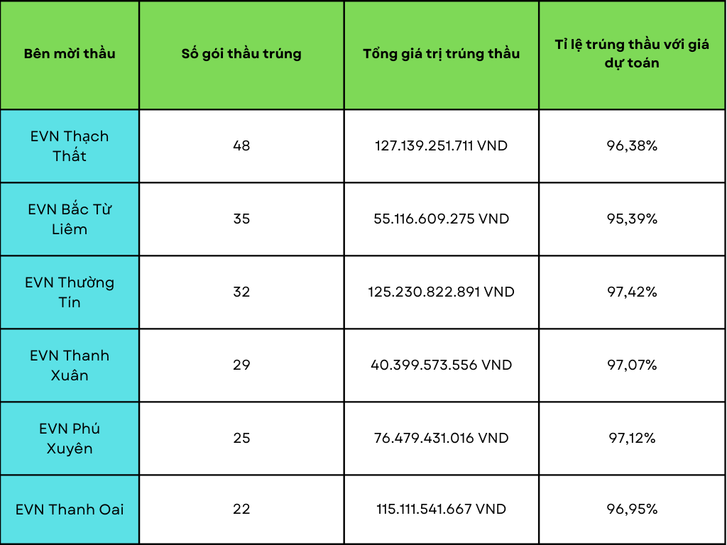 Tuấn Ân Hà Nội thâu tóm hàng loạt gói thầu điện lực Hà Nội- Ảnh 1.