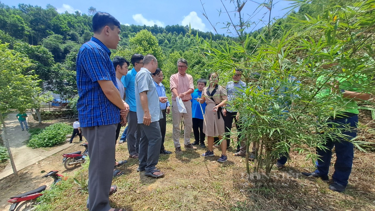 Hội Nông dân Thái Nguyên làm việc với chuyên gia Hà Lan về hợp tác, chuyển giao công nghệ- Ảnh 1.