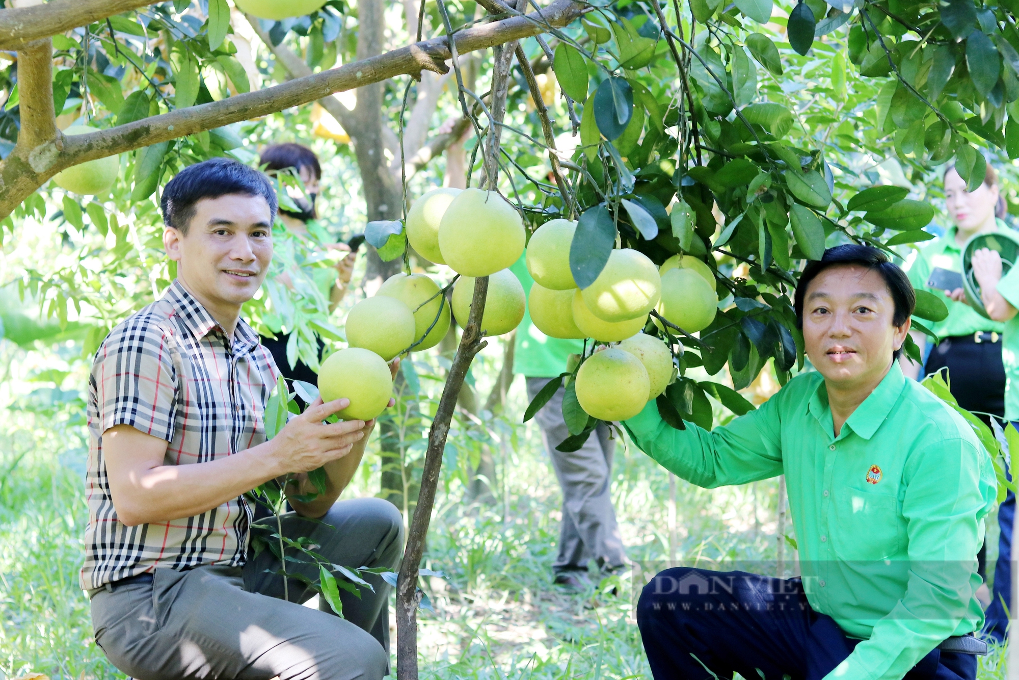 Hội Nông dân ứng dụng chuyển đổi số hỗ trợ tiêu thụ “đệ nhất danh quả” của Hà Tĩnh- Ảnh 5.