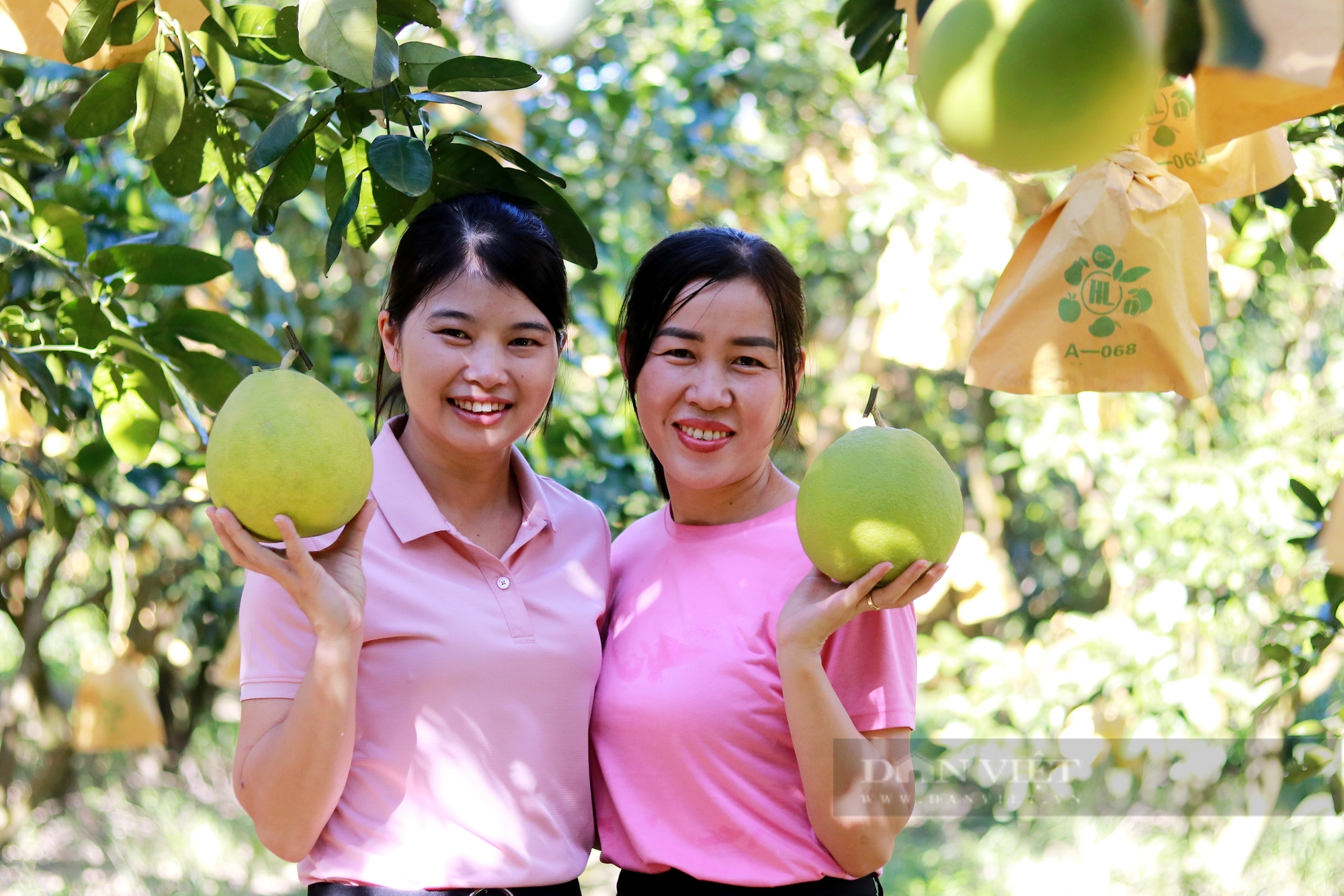 Hội Nông dân ứng dụng chuyển đổi số hỗ trợ tiêu thụ “đệ nhất danh quả” của Hà Tĩnh- Ảnh 8.