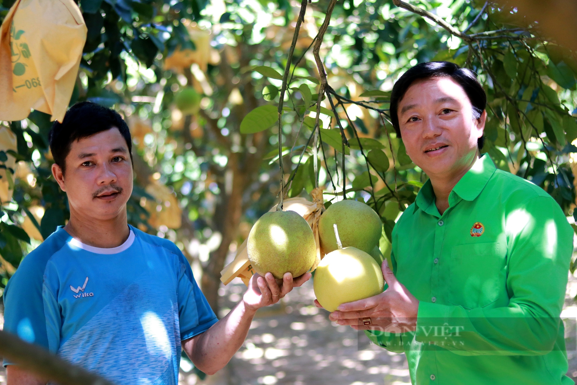 Hội Nông dân ứng dụng chuyển đổi số hỗ trợ tiêu thụ “đệ nhất danh quả” của Hà Tĩnh- Ảnh 9.