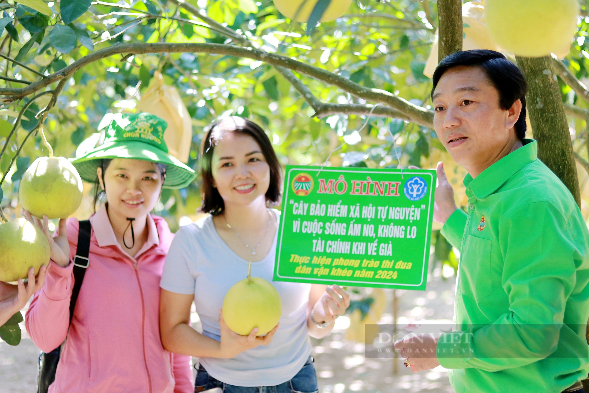 Chuyện lạ: Nông dân Hà Tĩnh đóng bảo hiểm xã hội tự nguyện bằng... cây bưởi Phúc Trạch- Ảnh 4.