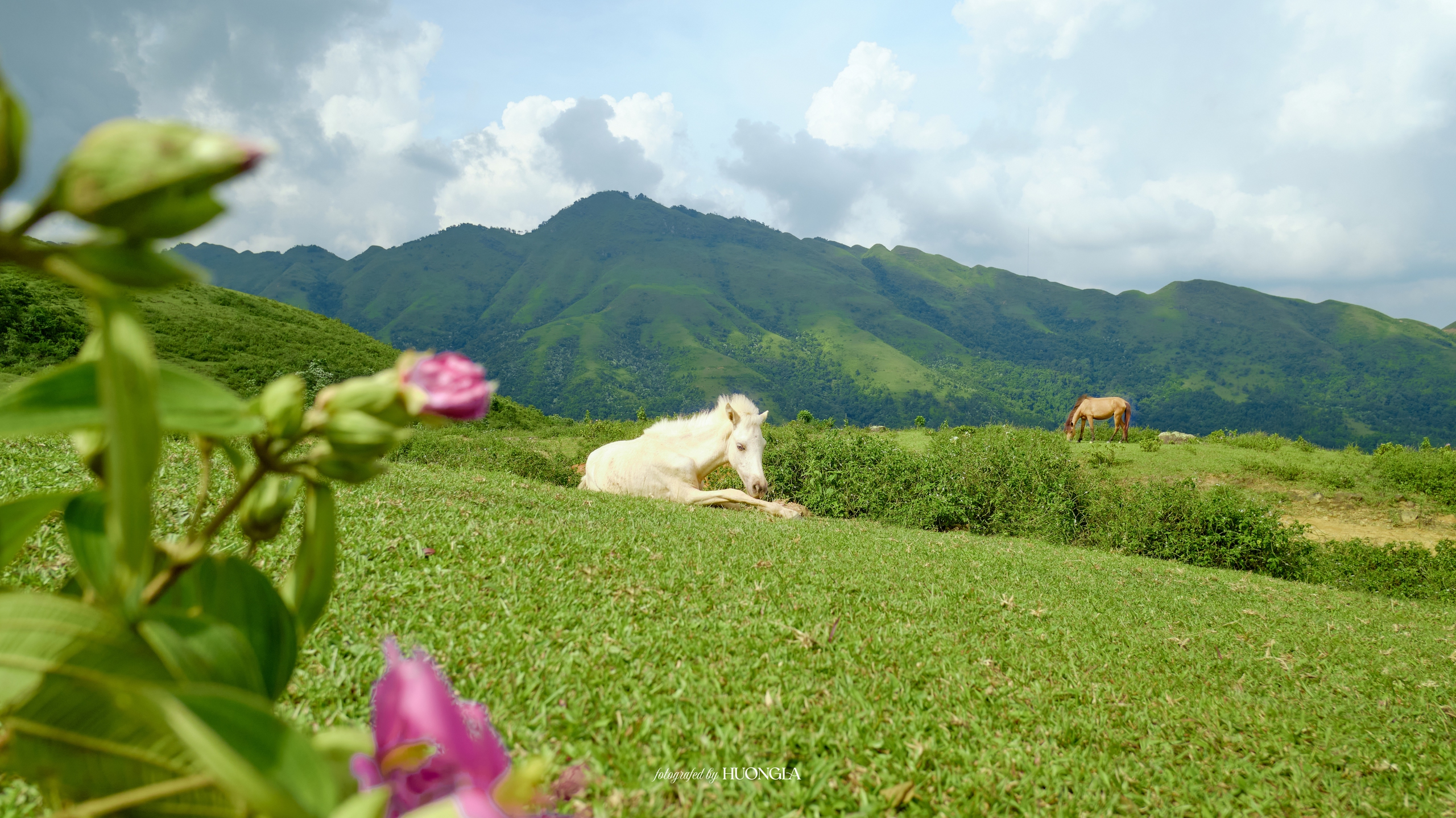 Du lịch Bắc Giang: Có một “tiểu Đà Lạt” đẹp nên thơ trong lòng Bắc Giang- Ảnh 3.