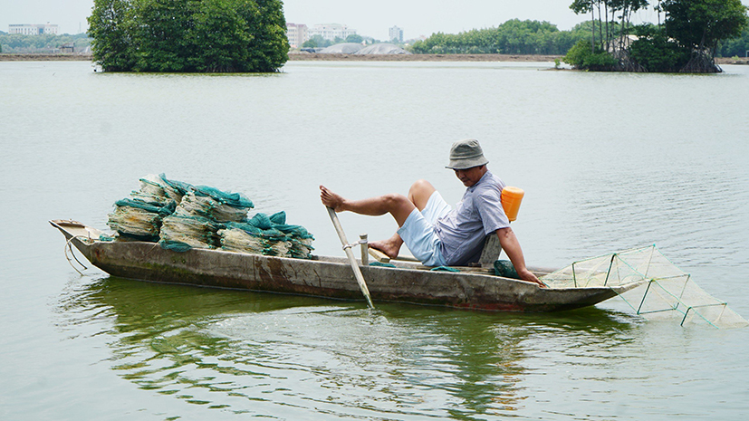 Nuôi tôm sinh thái dưới tán rừng ở Bà Rịa-Vũng Tàu là nuôi kiểu gì mà thiên hạ tranh nhau mua?- Ảnh 2.