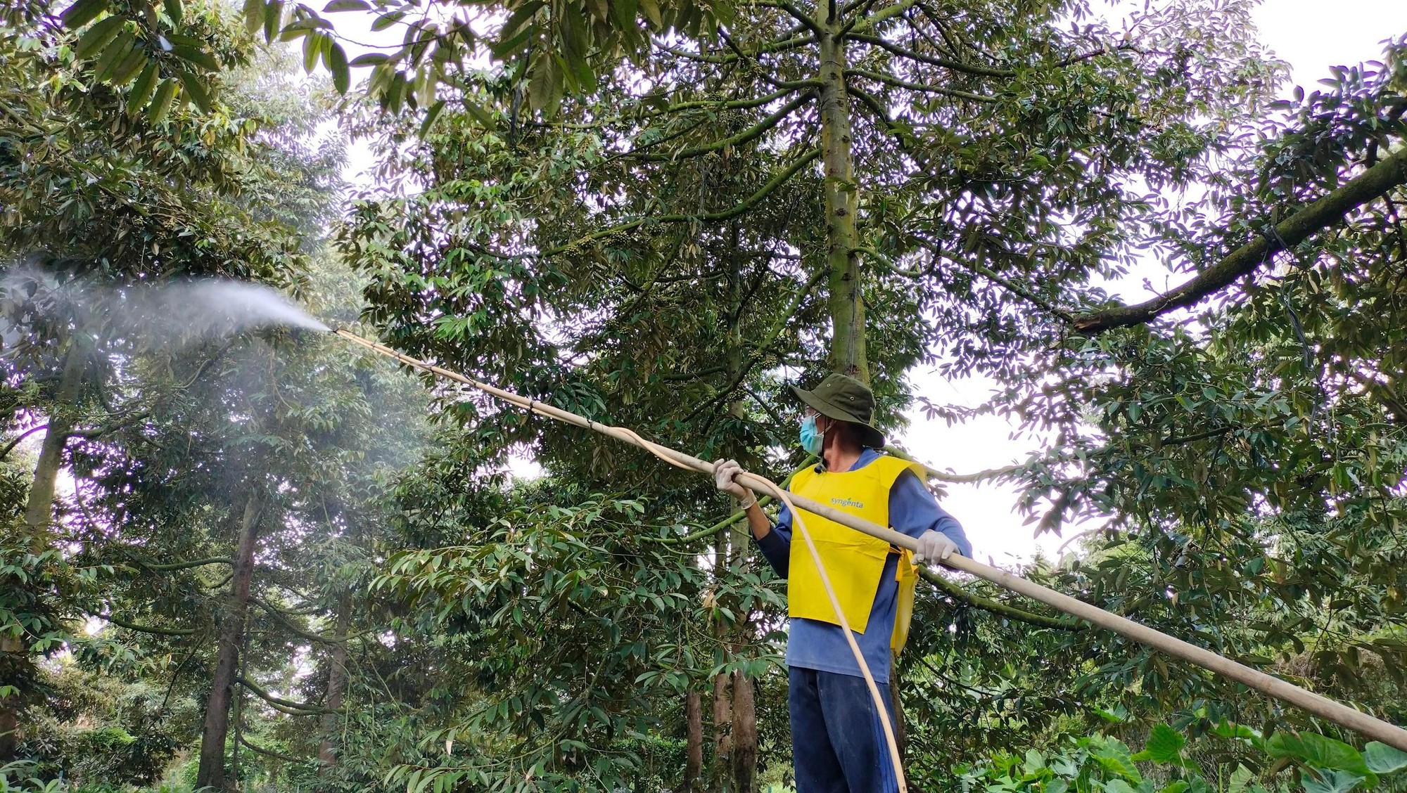 Nâng cao nhận thức sử dụng thuốc bảo vệ thực vật từ các chương trình tập huấn đa dạng- Ảnh 3.