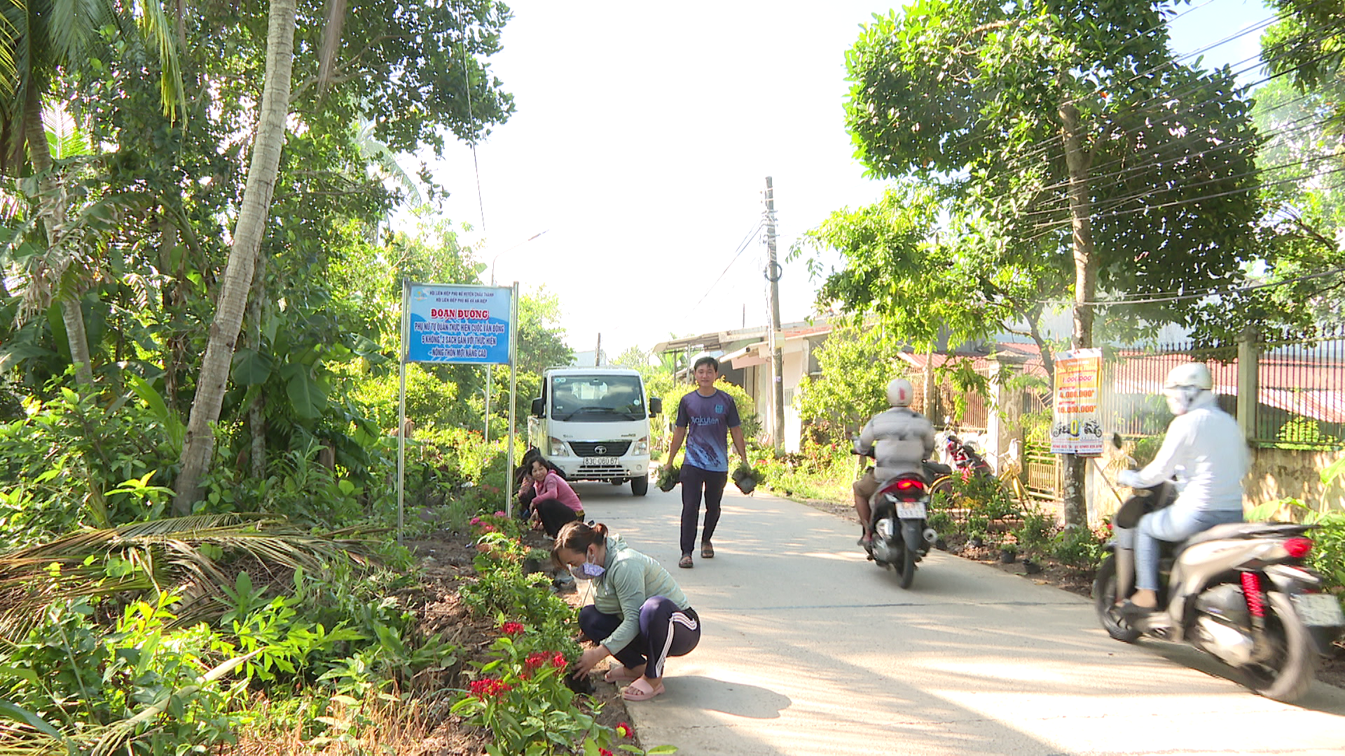 Đường hoa nông thôn mới ở một huyện của Sóc Trăng đẹp như phim, dân tình tha hồ chụp hình- Ảnh 1.