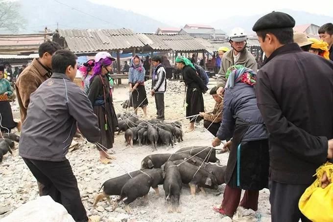 Nghe lợn cắp nách từ lâu nhưng mấy ai lý giải được cái tên thú vị đằng sau loại đặc sản của Lào Cai này- Ảnh 1.