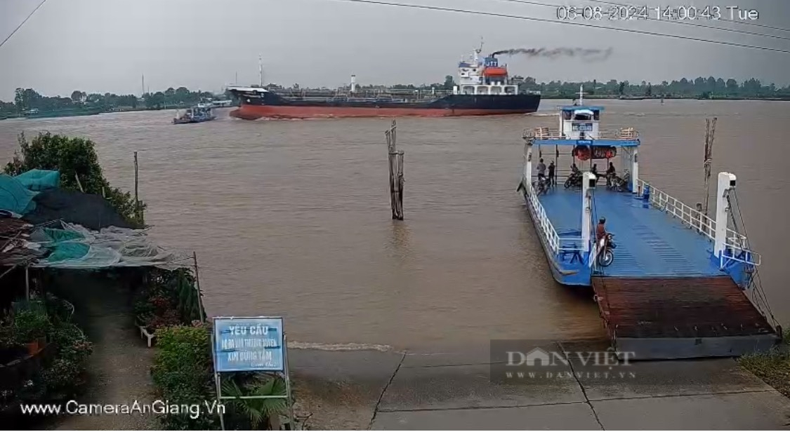 Vụ tàu chở hàng đâm phà chở khách trên sông Vàm Nao: Phà chở khách không được phép chở ô tô- Ảnh 2.