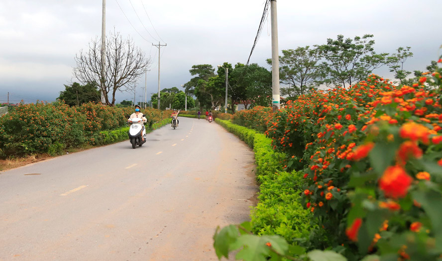 Hội Nông dân Hà Nội xây dựng những làng quê đáng sống, sáng - xanh - sạch - đẹp, văn minh - Ảnh 2.