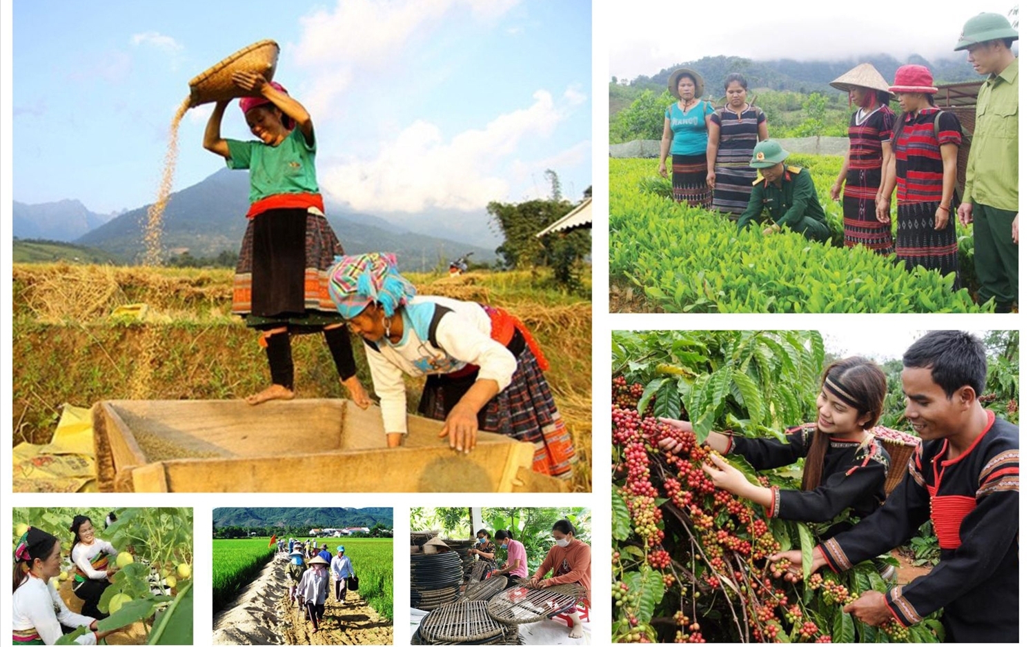 Phó Thủ tướng yêu cầu 5 tỉnh Tây Nguyên nêu cao tinh thần "7 dám" trong thực hiện các chương trình mục tiêu quốc gia- Ảnh 1.