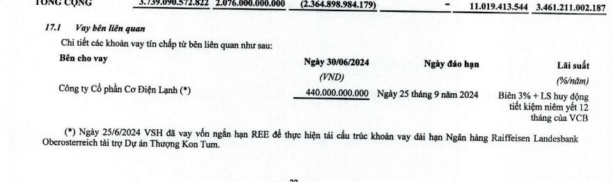 REE cho công ty con thế chấp tối đa 15,65 triệu cổ phiếu Thuỷ điện Vĩnh Sơn Sông Hinh (VSH) để vay vốn ngân hàng- Ảnh 2.