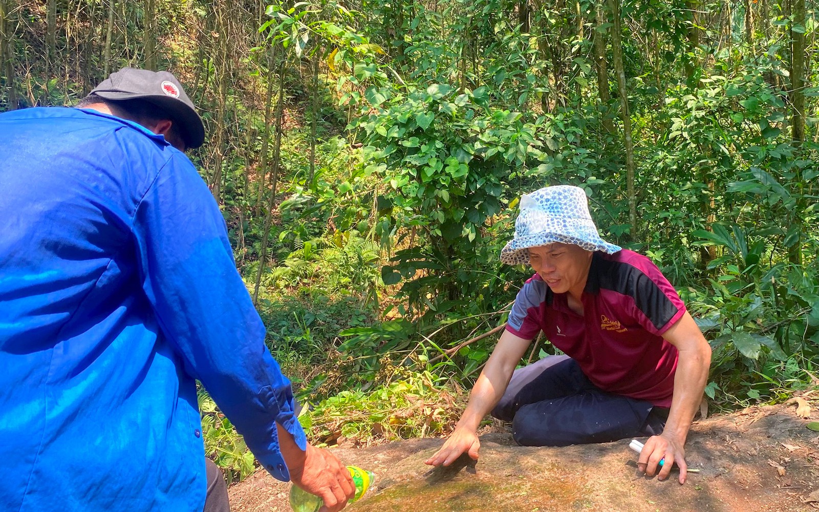 Ở Huế mùa này trên trời nóng dưới mít chín, mít mật múi to bự, cắn ngập chân răng, tứa mật ngọt - Ảnh 1.