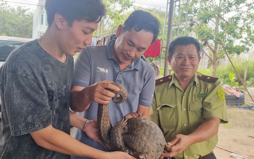 Gia Miêu ở Thanh Hóa, vùng đất cổ, đất phát tích của vương triều nhà Nguyễn, bí ẩn chưa khám phá - Ảnh 4.