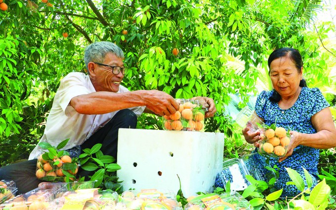 Trồng lan quý tộc, lan mokara, hoa tuôn như suối, anh nông dân Bình Phước có lương tốt - Ảnh 1.