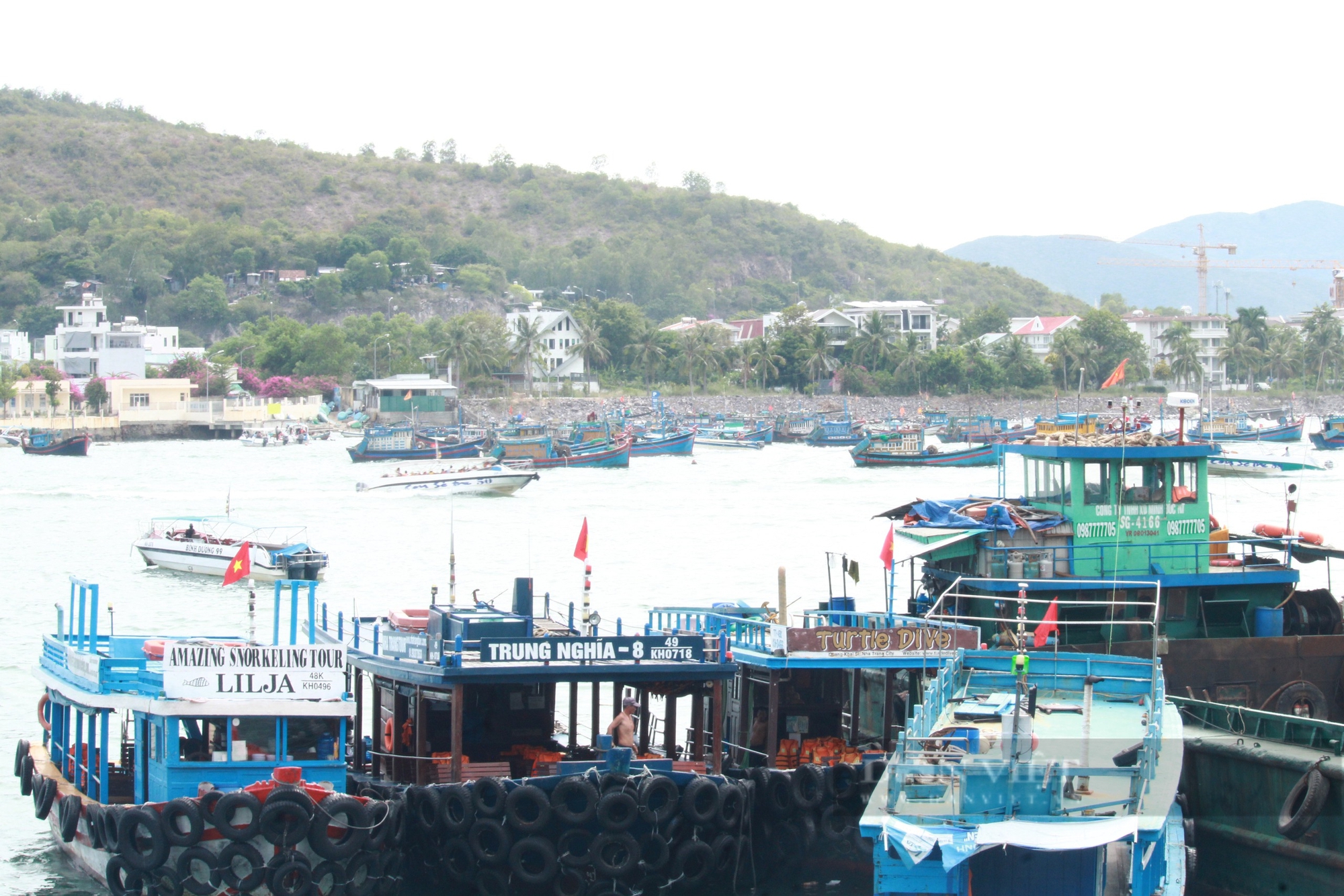 Lá cờ tổ quốc tung tăng ở vùng biển, các ngư dân cảm thấy xúc động, hạnh phúc - Ảnh 2.