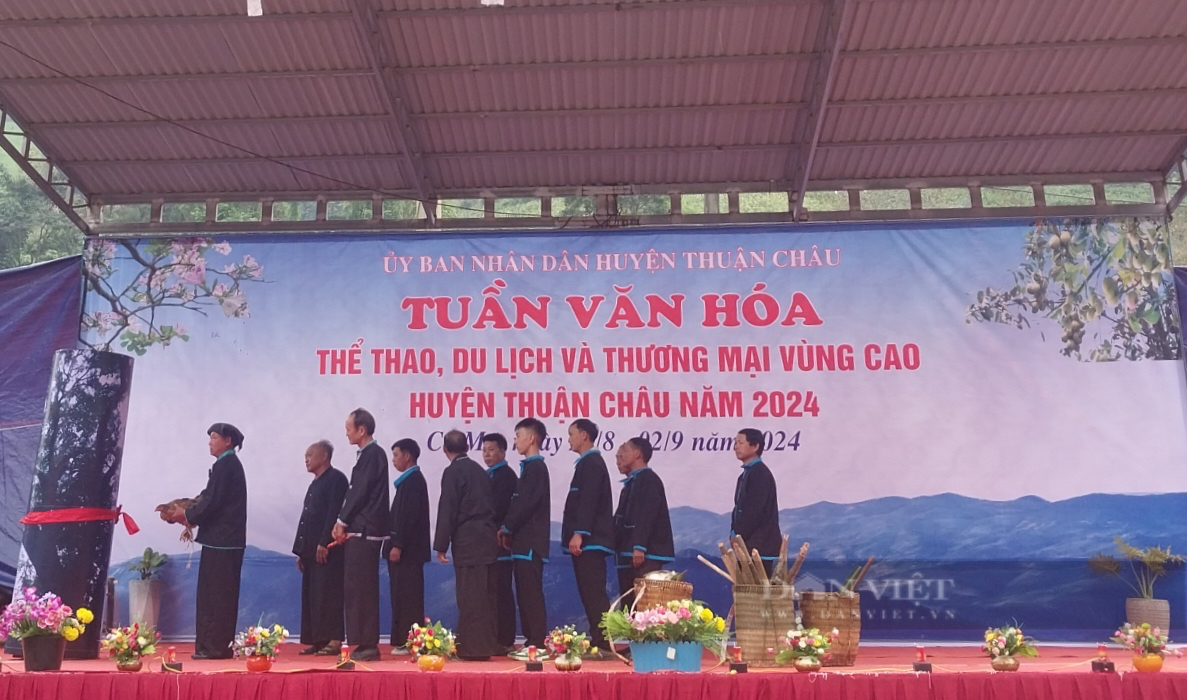 "Cây thần thiêng" của đồng bào Mông ở vùng cao Sơn La bảo vệ rừng, nguồn nươcs, cầu cho mưa thuận gió hoà - Ảnh 2.