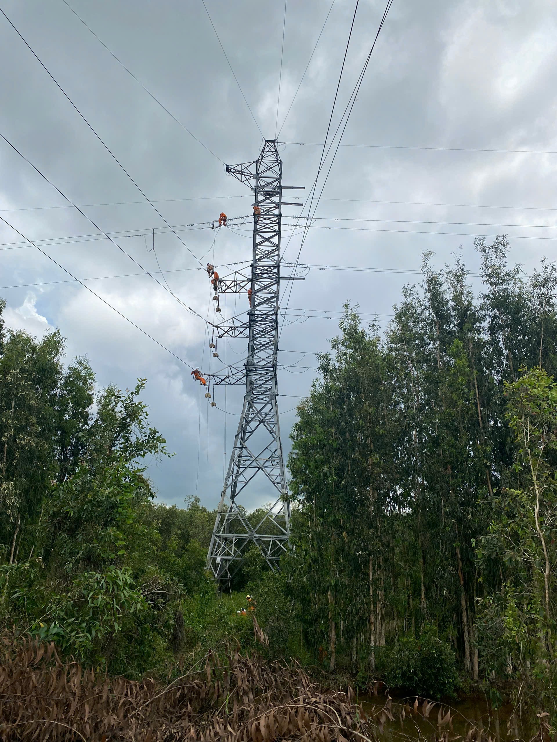 EVNSPC khẩn trương cấp điện lại khách hàng sau vụ cháy trạm biến áp 220kv Cai Lậy- Ảnh 1.