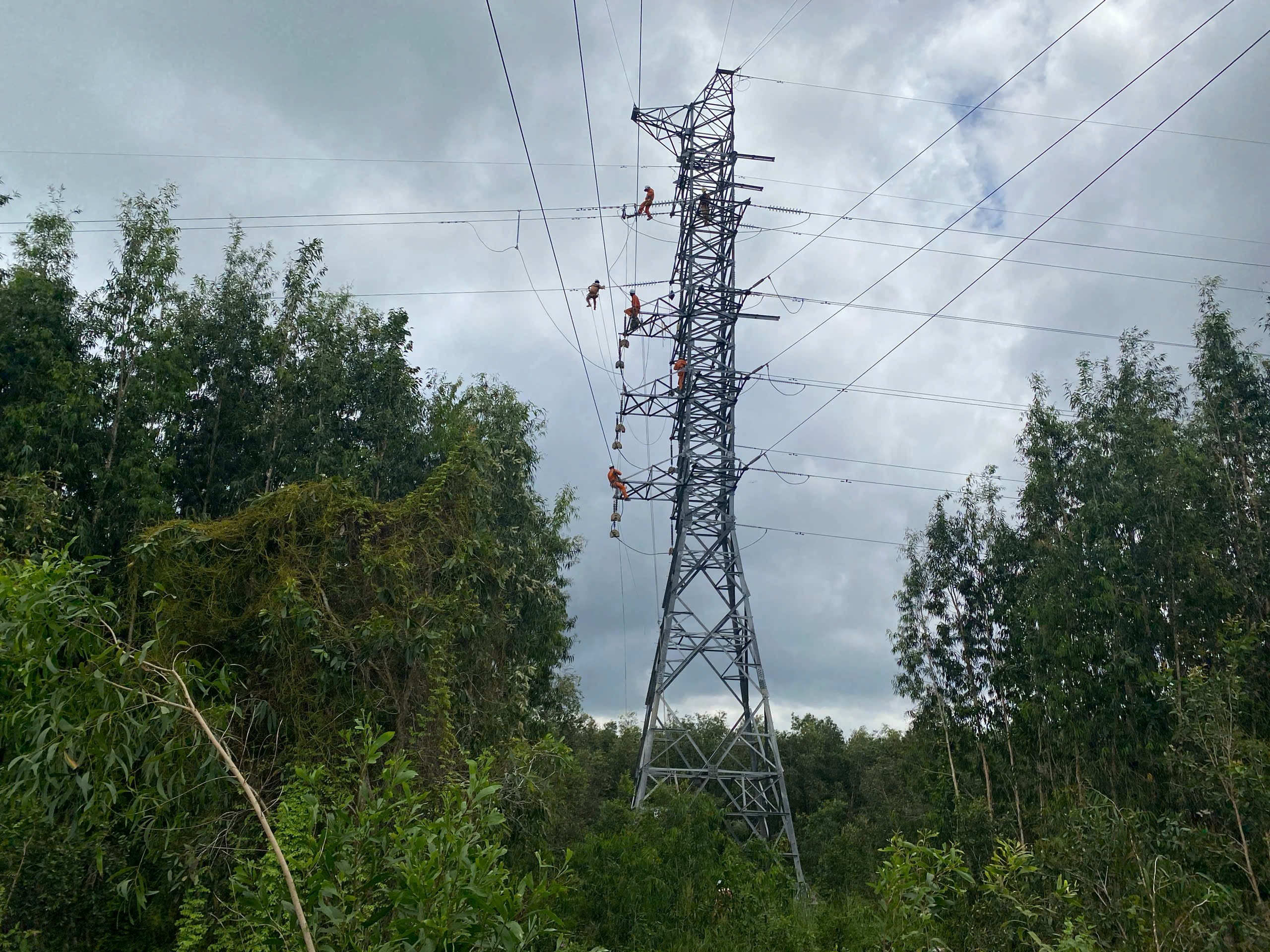 Toàn bộ khách hàng bị ảnh hưởng bởi sự cố cháy Trạm biến áp 220kV Cai Lậy đã có điện trở lại