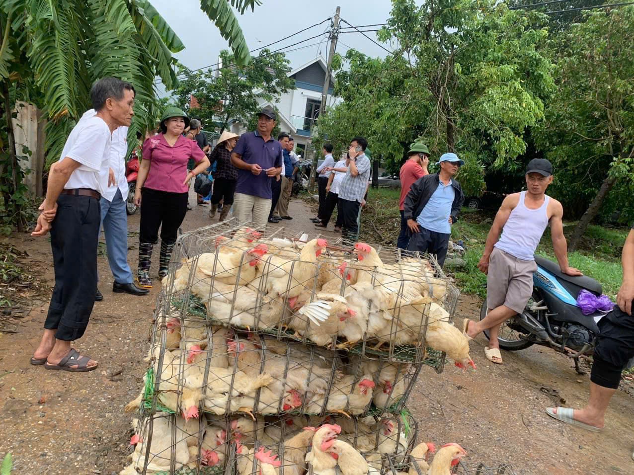 Hội Nông dân Hà Nội triển khai nhiều hoạt động hỗ trợ hội viên khắc phục hậu quả do bão lũ - Ảnh 3.