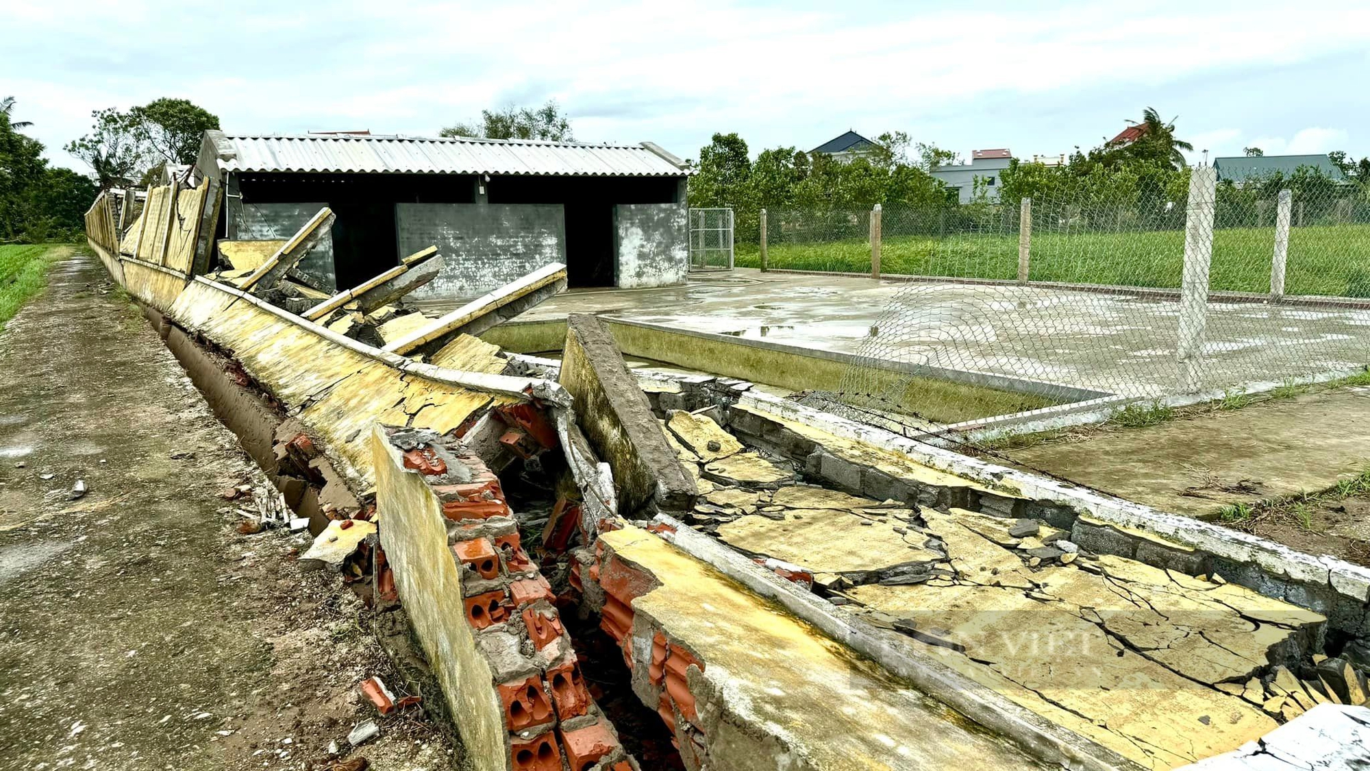 Thái Bình thiệt hại hàng nghìn tỷ đồng, một trung tâm nghiên cứu giống cây trồng nổi tiếng cả nước tan hoang sau bão - Ảnh 5.