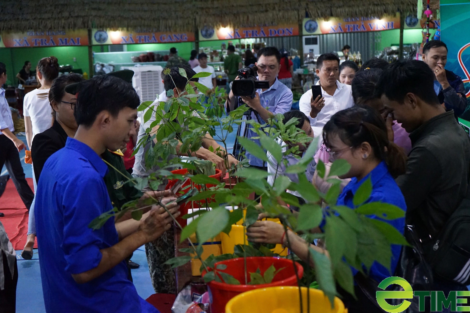 Quảng Nam đề xuất thành lập Trung tâm Công nghiệp dược liệu với sâm Ngọc Linh là cây chủ lực - Ảnh 4.