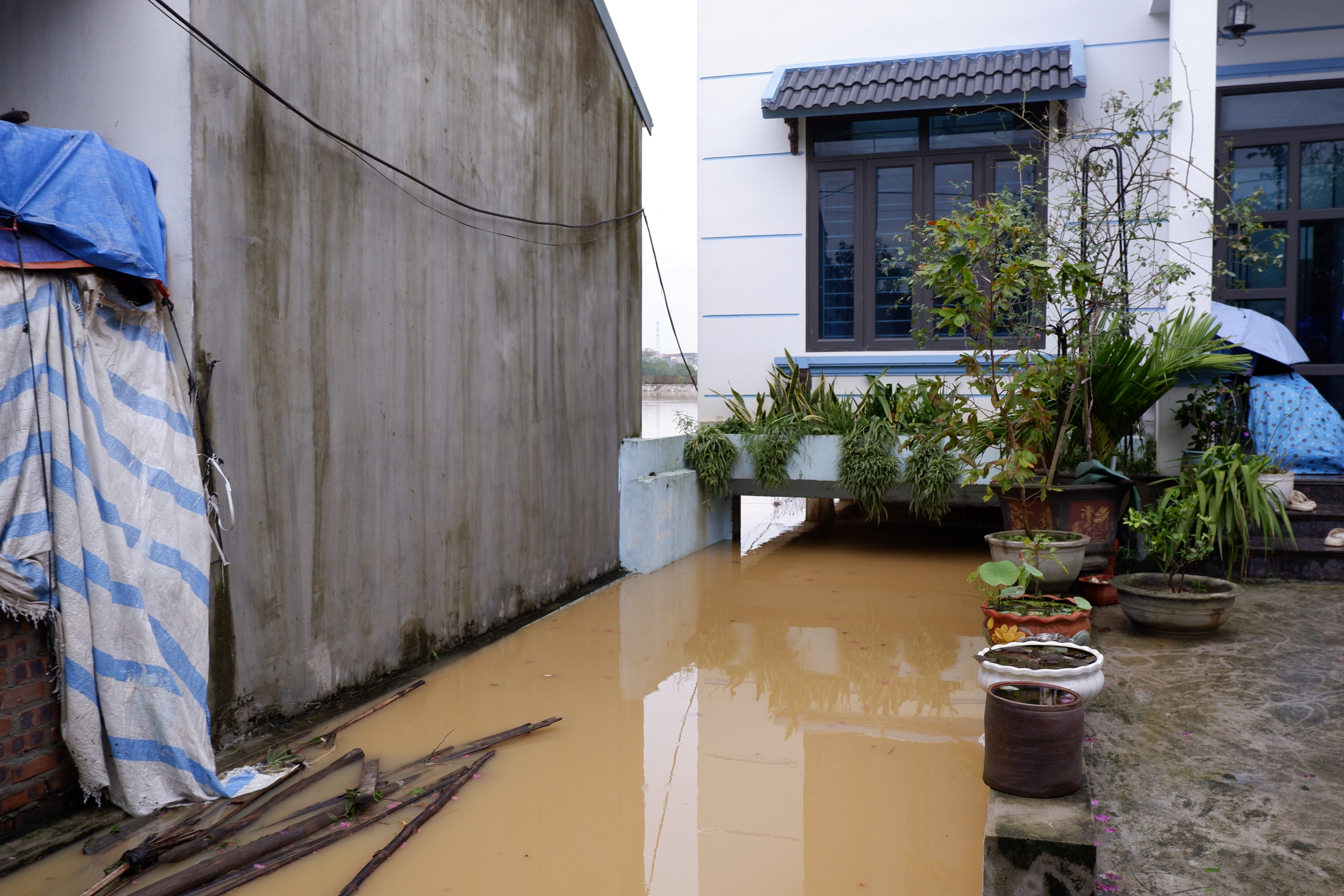 Nước sông Bùi lên cao, người dân Hà Nội hối hả chạy lũ- Ảnh 15.