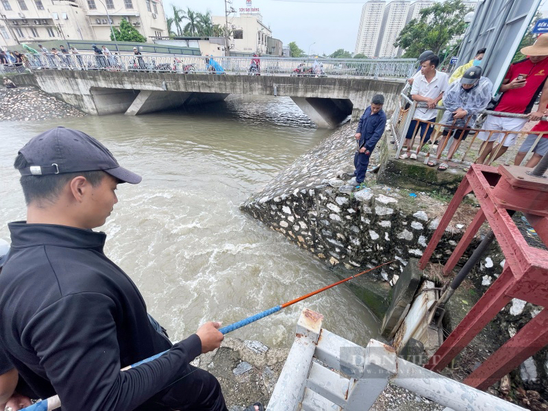 Sông Tô Lịch "hồi sinh" sau mưa lớn, người Hà Nội đi câu, quăng chài bắt cá  - Ảnh 4.