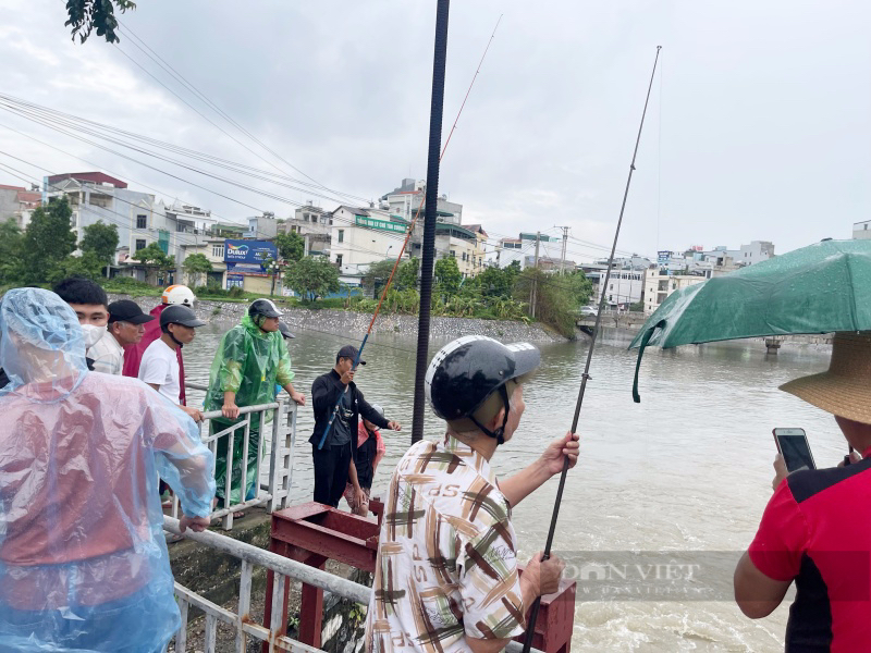 Sông Tô Lịch "hồi sinh" sau mưa lớn, người Hà Nội đi câu, quăng chài bắt cá  - Ảnh 3.