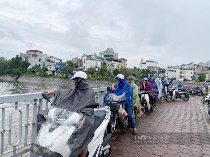 Sông Tô Lịch "hồi sinh" sau mưa lớn, người Hà Nội đi câu, quăng chài bắt cá  - Ảnh 12.