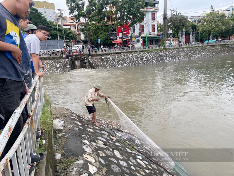 Sông Tô Lịch "hồi sinh" sau mưa lớn, người Hà Nội đi câu, quăng chài bắt cá  - Ảnh 2.