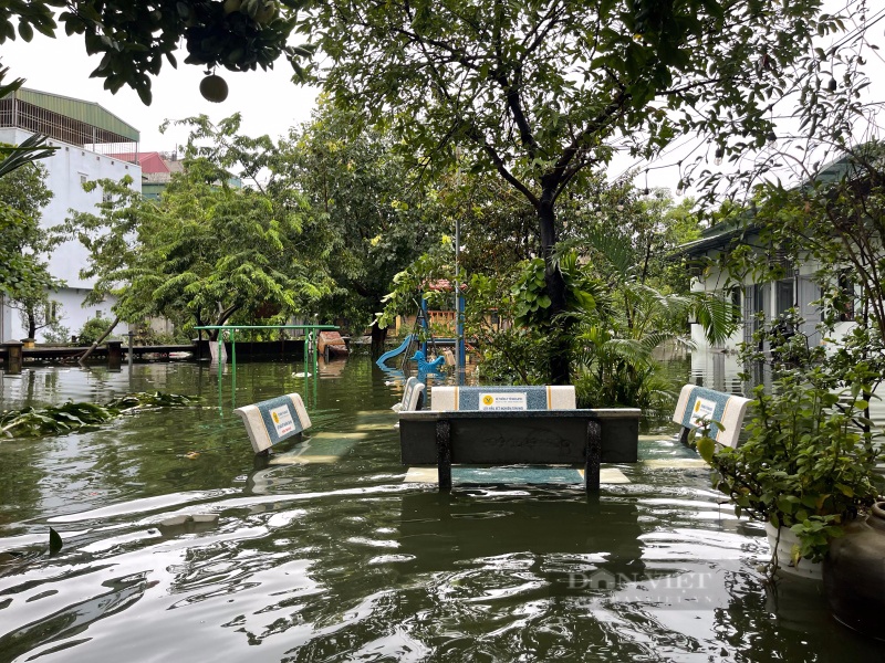 Cuộc sống người Hà Nội bị đảo lộn, trắng đêm mất ngủ vì bị cô lập trong mưa ngập - Ảnh 7.