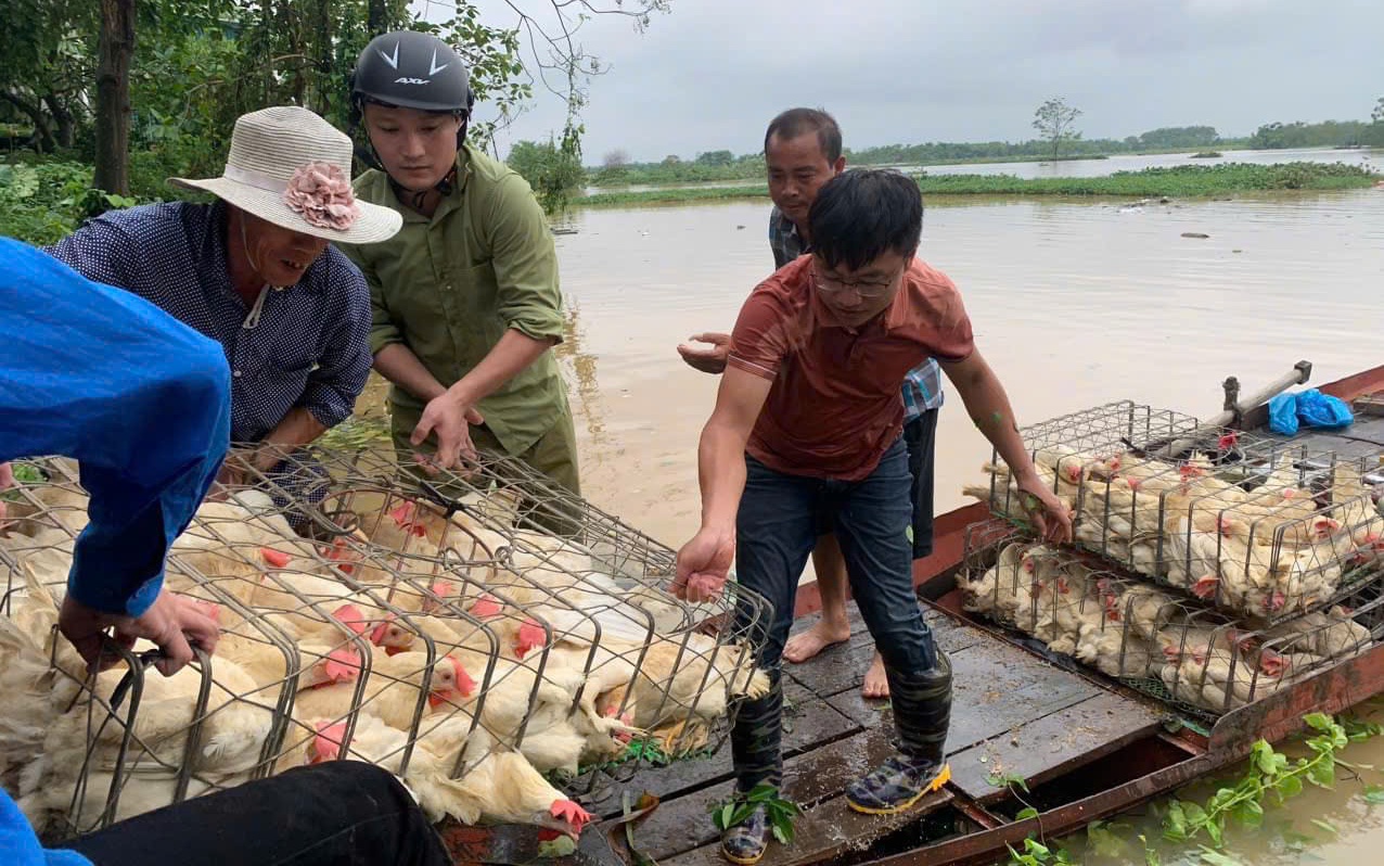 Giá rau xanh tăng mạnh sau bão Yagi, tiểu thương "than" xấu mã nhưng giá vẫn gấp đôi ngày thường - Ảnh 7.