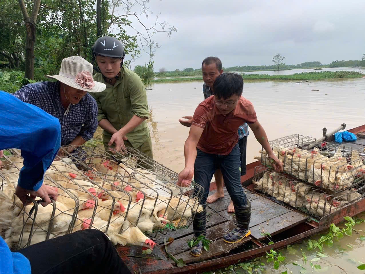 Hội Nông dân Hà Nội triển khai nhiều hoạt động hỗ trợ hội viên khắc phục hậu quả do bão lũ - Ảnh 2.