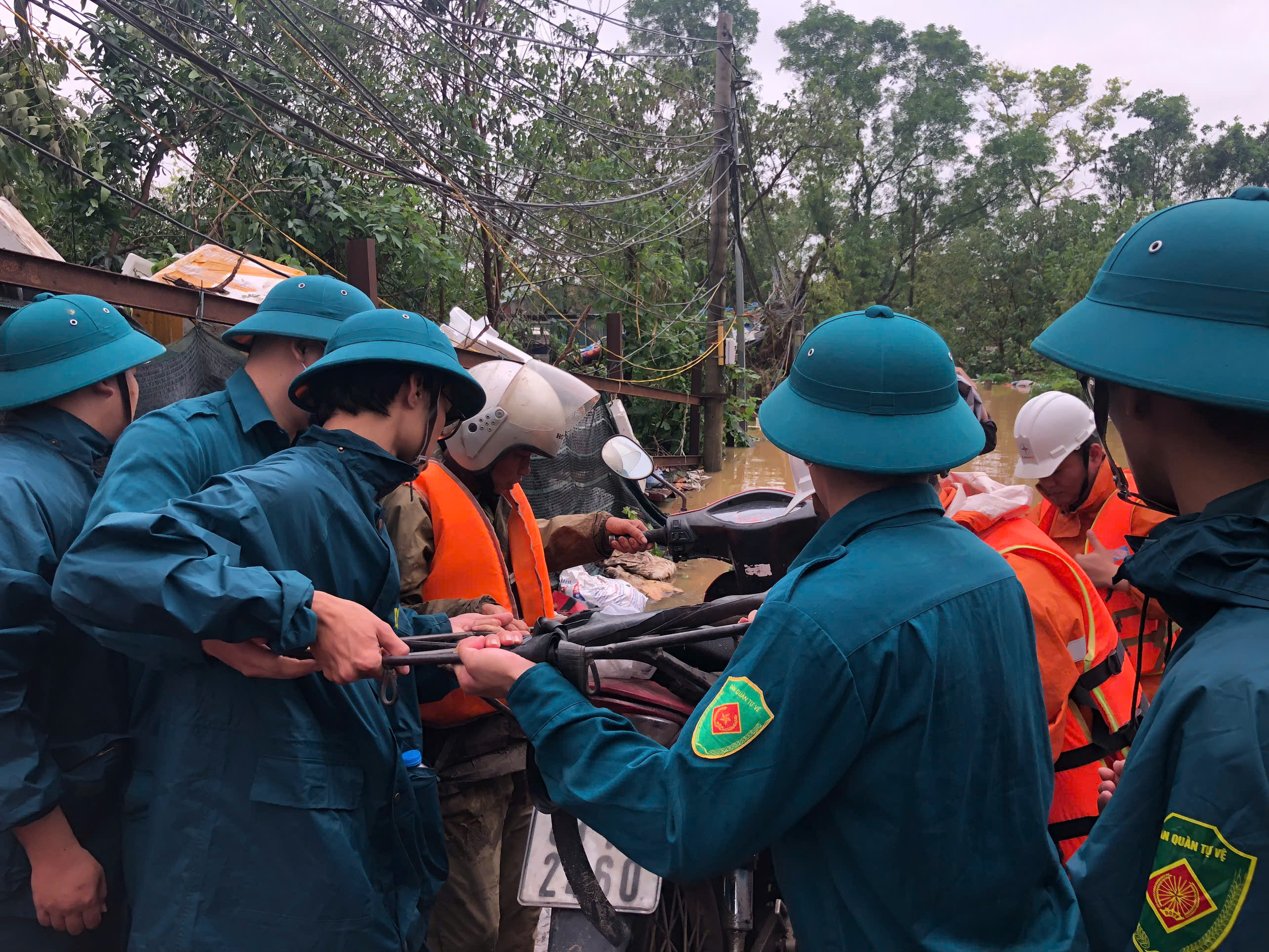 Sau siêu bão Yagi, chúng ta còn lại gì- Ảnh 2.