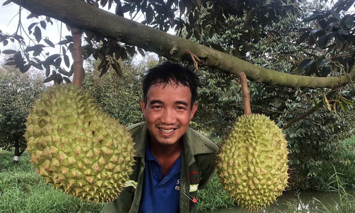 Chuyển đổi số ở Bình Thuận: Công nghệ số góp phần phát triển ngành nông nghiệp, trái thanh long - Ảnh 6.