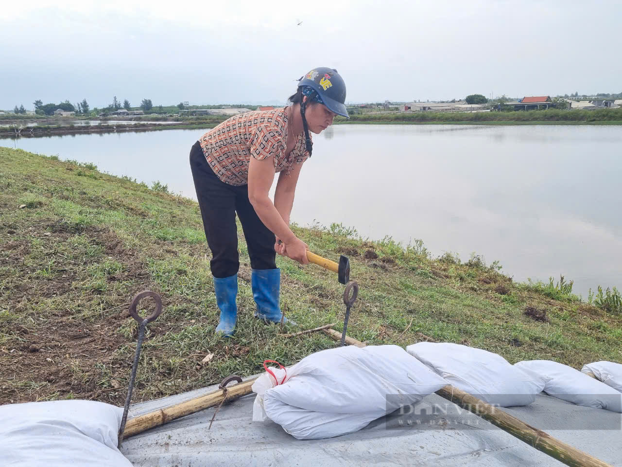 Ninh Bình: Cảnh báo sông Hoàng Long đạt đỉnh lũ trên mức báo động 3- Ảnh 6.