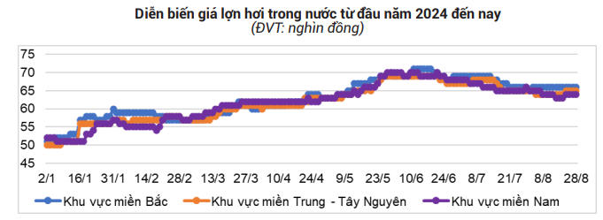 Mưa lũ phức tạp ở miền Bắc, giá lợn hơi tiếp tục tăng, Hà Nội đạt đỉnh cao nhất - Ảnh 3.