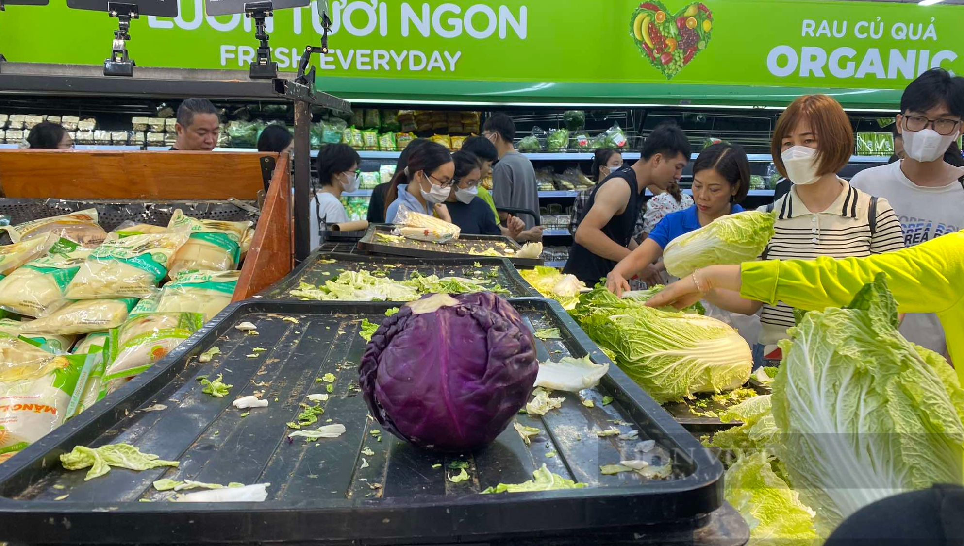 Đối phó với lũ lụt sau bão số 3: Hàng trăm tấn rau củ quả phía Nam chuyển ra miền Bắc- Ảnh 1.