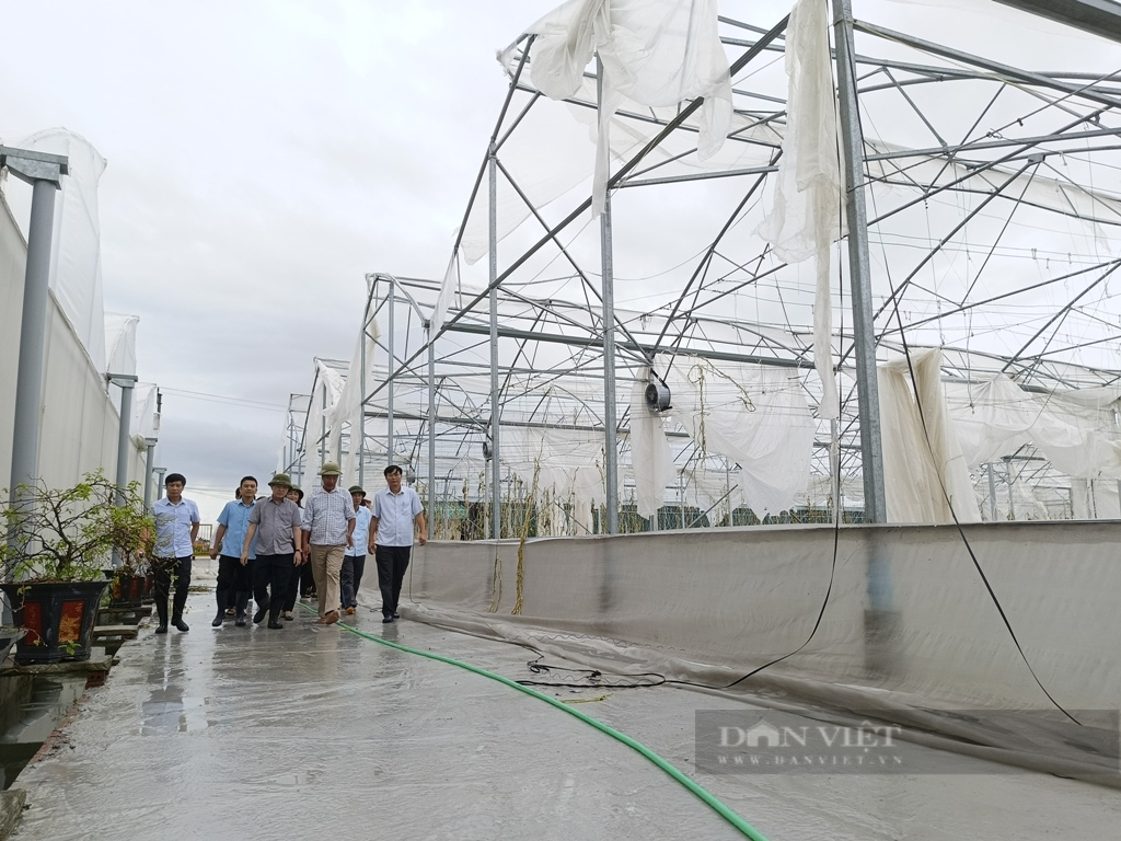 Chủ tịch Hội NDVN Lương Quốc Đoàn trao quà cho người dân có hoàn cảnh khó khăn tại TP.Hải Phòng sau bão số 3 - Ảnh 3.