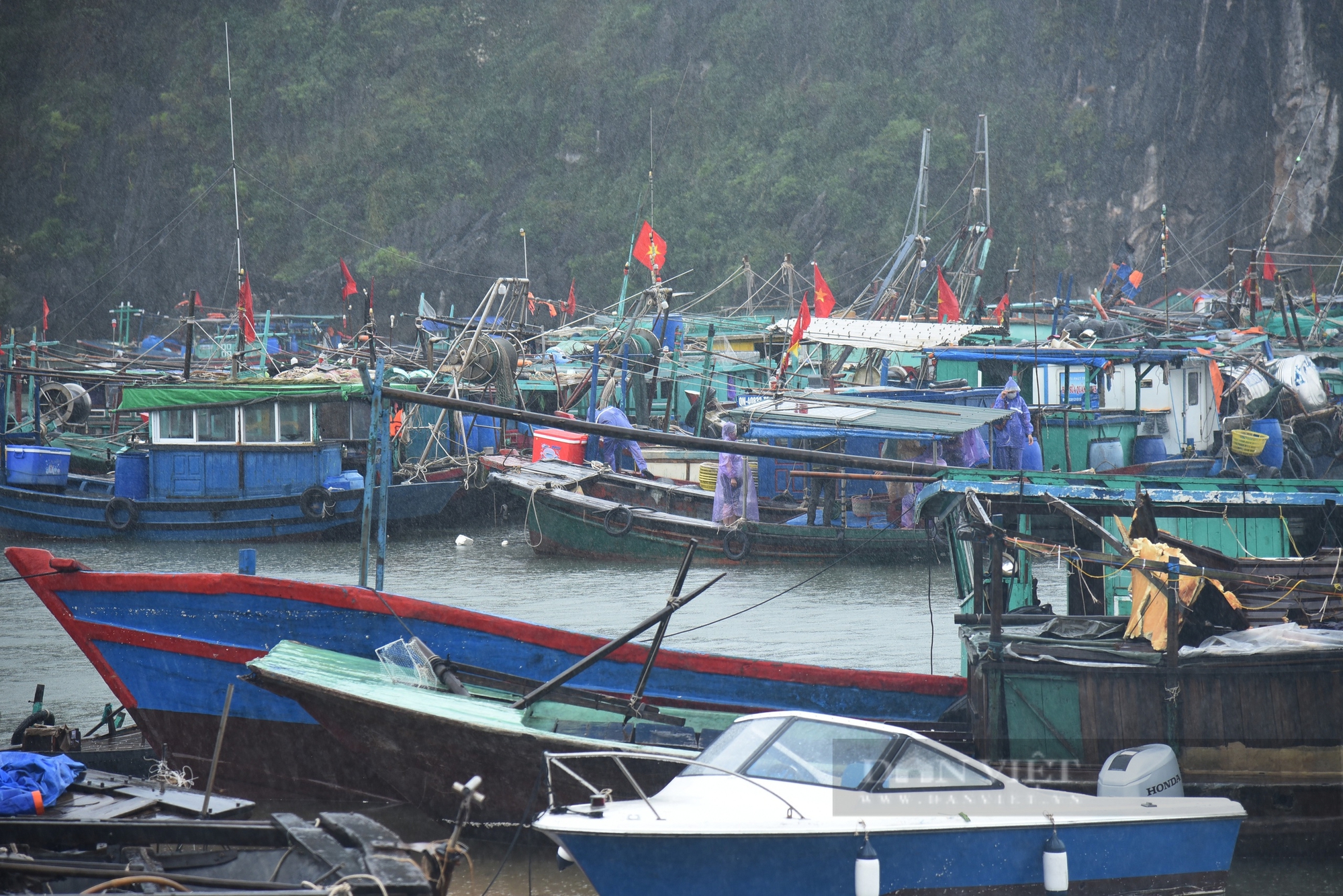 Ngư dân Cái Rồng nuốt nước mắt mặn đắng lội xuống biển "làm lại từ đầu" sau bão số 3- Ảnh 2.