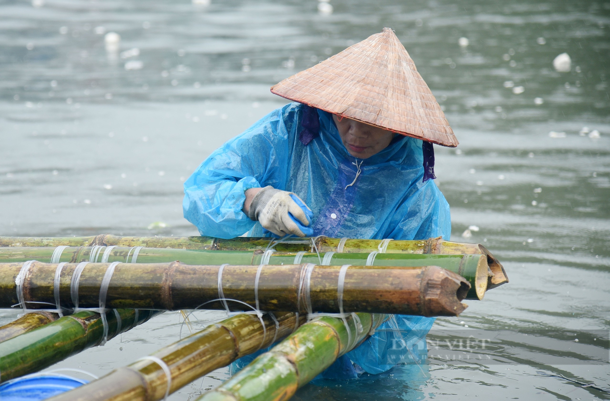 Ngư dân Cái Rồng nuốt nước mắt mặn đắng lội xuống biển "làm lại từ đầu" sau bão số 3- Ảnh 5.