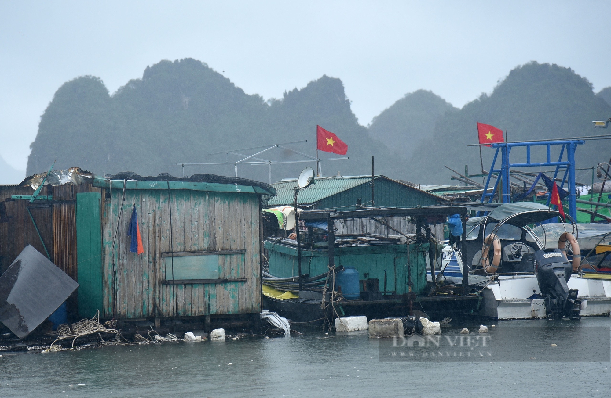 Ngư dân Cái Rồng nuốt nước mắt mặn đắng lội xuống biển "làm lại từ đầu" sau bão số 3- Ảnh 13.