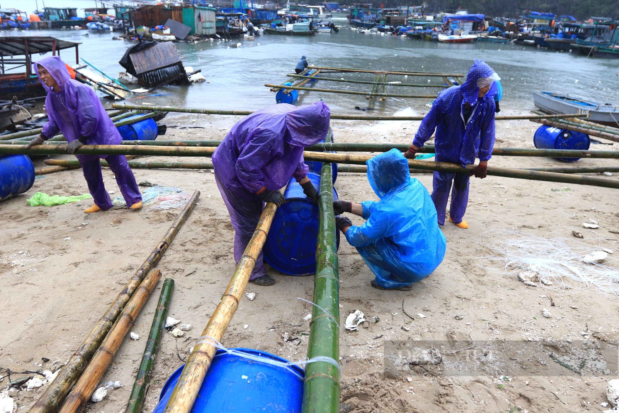 Ngư dân Cái Rồng nuốt nước mắt mặn đắng lội xuống biển "làm lại từ đầu" sau bão số 3- Ảnh 3.