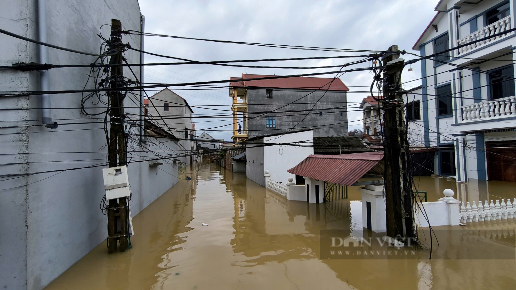 Lũ lớn trên các sông Hồng, sông Thao, sông Cầu, vì sao hàng loạt đê bối bị vỡ, tràn? - Ảnh 2.